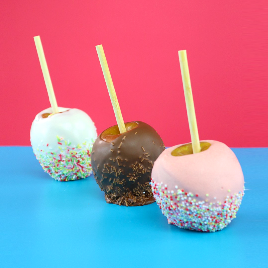 PALITOS DE BAMBU PARA MANZANAS - PME - Imagen 2